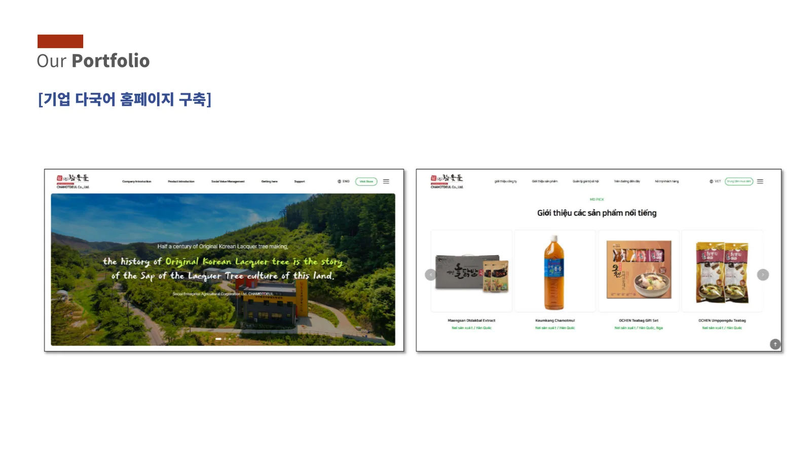 홈페이지 제작 / SNS